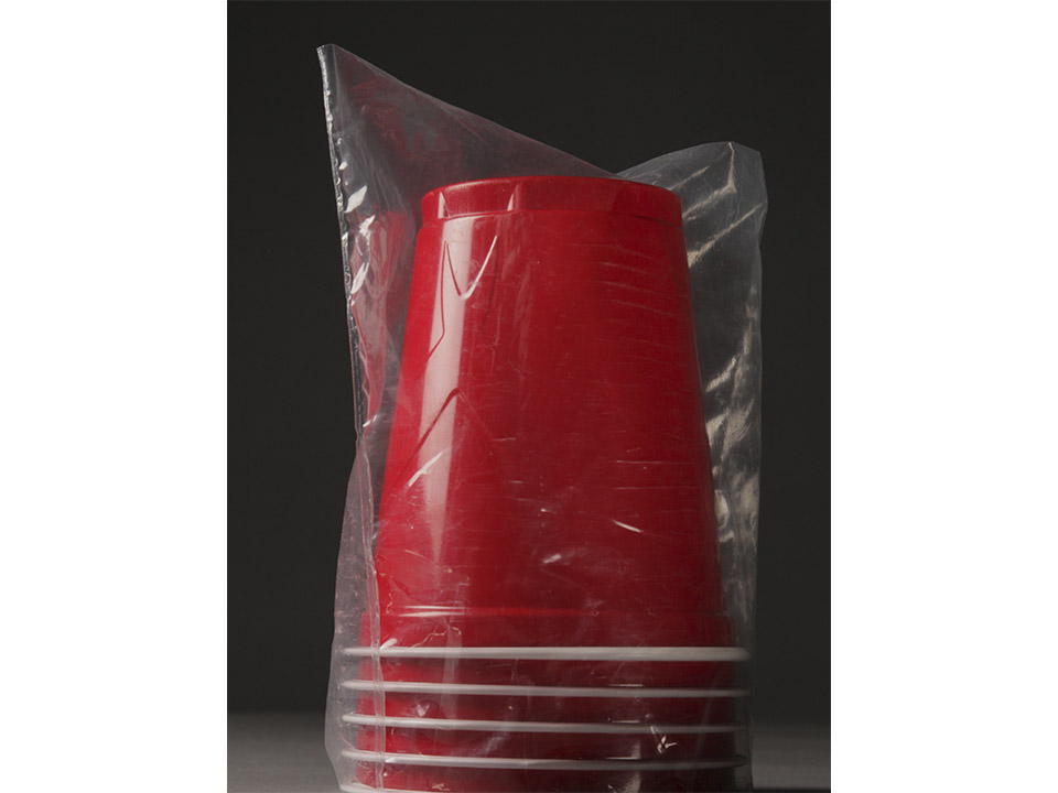 Food Service Disposables Industry Packaging Food Bagging, Sealing